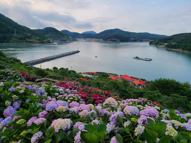 민간정원- 고흥 힐링파크 쑥섬쑥섬. 전남도 제공