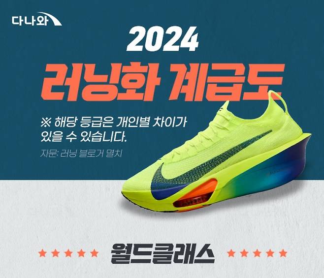 러닝 인플루언서와 함께 작성한 '러닝화 계급도 2024' 일부. /사진= 다나와 화면 캡처