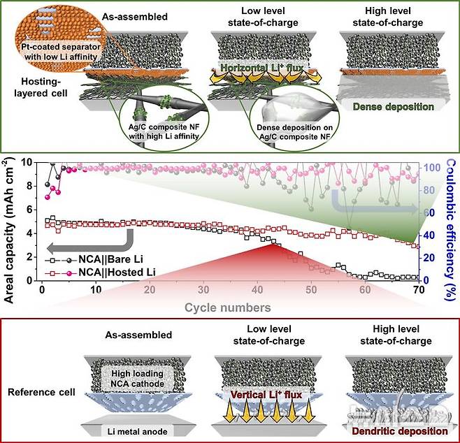수직적 리튬 전착으로 짧은 수명의 대조군 (아래쪽). 연구팀이 개발한 호스트를 적용, 78% 수명이 향상된 리튬금속전지(위쪽) 모습의 연구 모식도