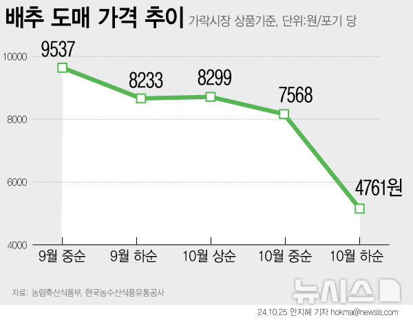 [서울=뉴시스] 10월 들어 가을배추의 작황은 호전되고 있는 것으로 전해졌다. 가격도 뚜렷한 하락세를 보이고 있다. 10월 상순 가락시장 평균 도매가격은 배추 1포기당 9299원을 보였지만 하순에는 포기당 4761원으로 2배가량 낮아졌다. (그래픽=안지혜 기자)  hokma@newsis.com