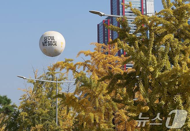 완연한 가을 날씨를 보인 30일 오후 서울 영등포구 여의도 공원에서 노랗게 물든 은행나무 위로 시민들을 태운 계류식 가스기구 '서울달'이 떠오르고 있다. 2024.10.30/뉴스1 ⓒ News1 김진환 기자