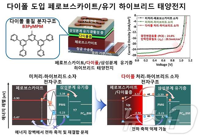 연구 모식도.(KAIST 제공)/뉴스1