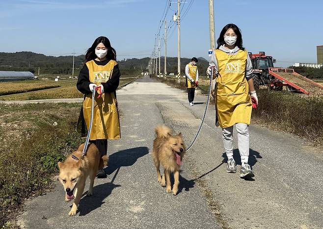 우리와주식회사가 최근 대한제분그룹 임직원과 함께 동물 보호소에 사료 기부 및 봉사활동을 진행했다. (우리와 제공) ⓒ 뉴스1