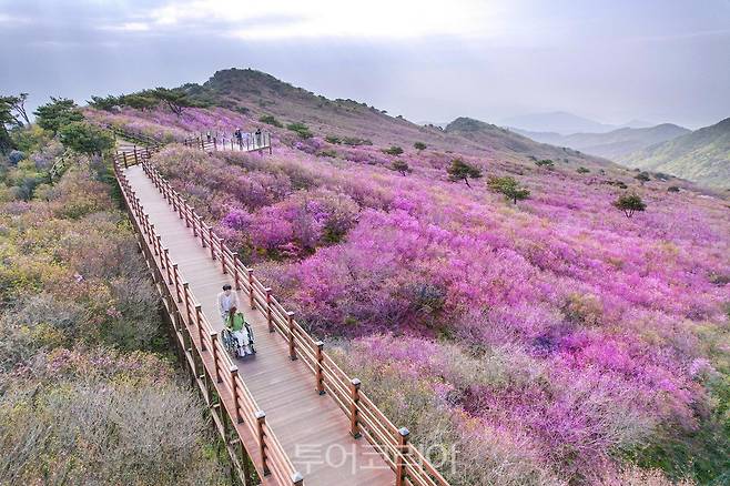 2021년 열린관광지로 선정 조성된 '대구 비슬산 군립공원'/사진=한국관광공사