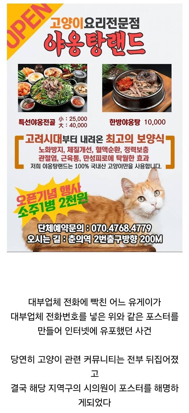 IMG_1254.jpeg 전설의 고양이 요리 전문점 사건