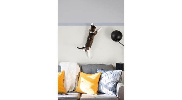 A cat scratches Hyundai L&C’s pet-friendly wallpaper, the “Pet Wall.” (Hyundai L&C)