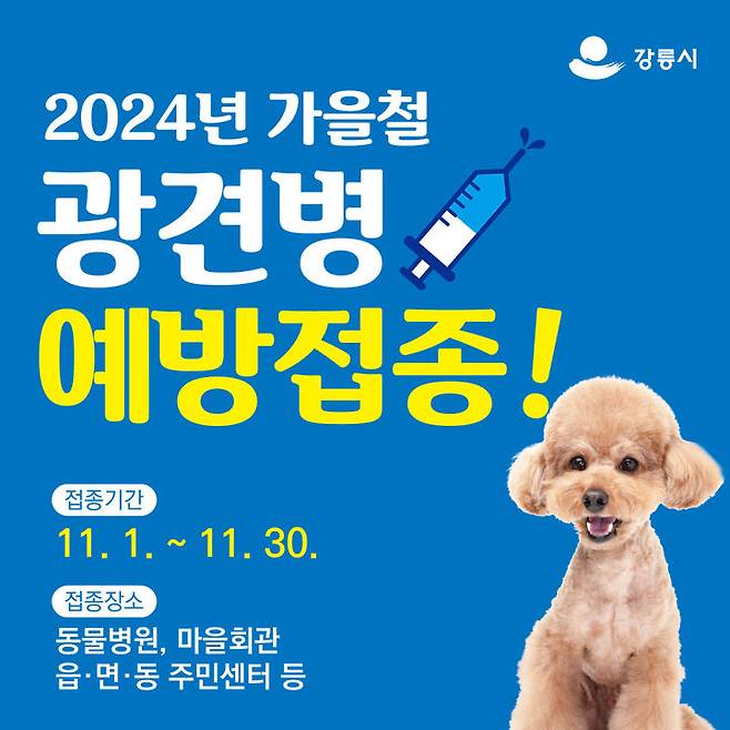 [강릉=뉴시스] 강릉시 가을철 광견병 예방접종 안내 포스터. (사진=강릉시 제공) *재판매 및 DB 금지