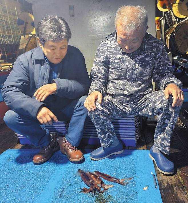 지난 27일 새벽 김철남(오른쪽) 선장이 6시간 조업해 잡은 오징어 3마리를 바라보고 있다. /권광순 기자