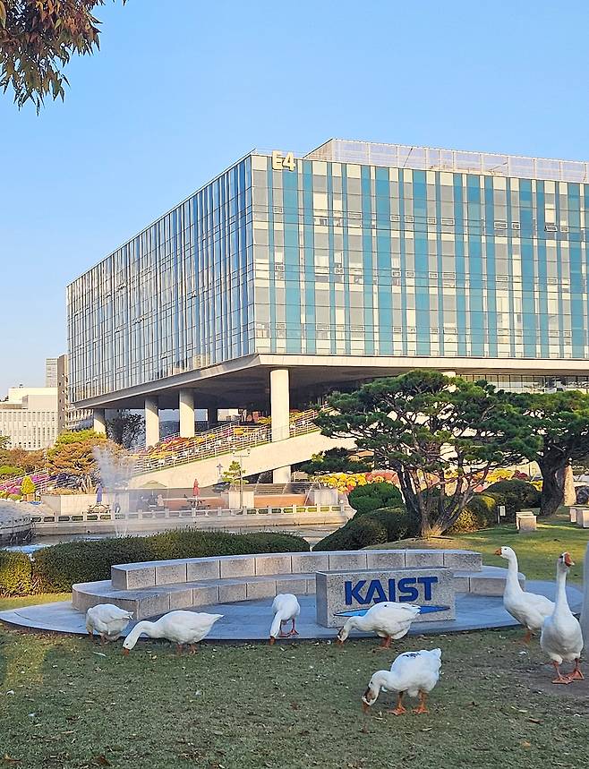 대전 한국과학기술원(KAIST) 캠퍼스의 거위들. KAIST를 대표하는 명물이자 이광형 총장의 별명처럼 KAIST의 '괴짜 문화'를 상징하는 존재다. KAIST는 입시 제도 변화를 통해 내신 성적 위주의 학생 선발이 아니라 과학에 대한 열정과 창의력이 있는 과학영재를 뽑겠다는 목표를 세웠다./대전=이종현 기자