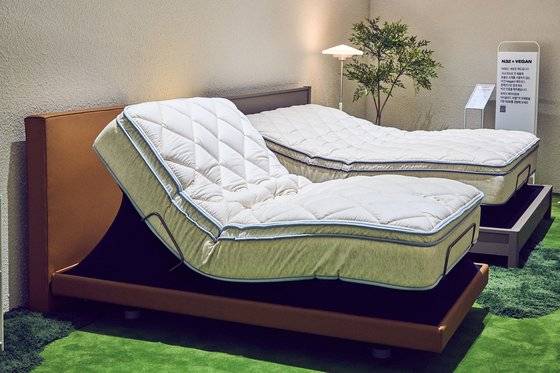 모션베드인 N32 모션 커브드 베이스. [사진 N32]