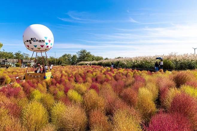 기막힌 서울단풍, 월드컵 4강신화 월드컵 하늘공원