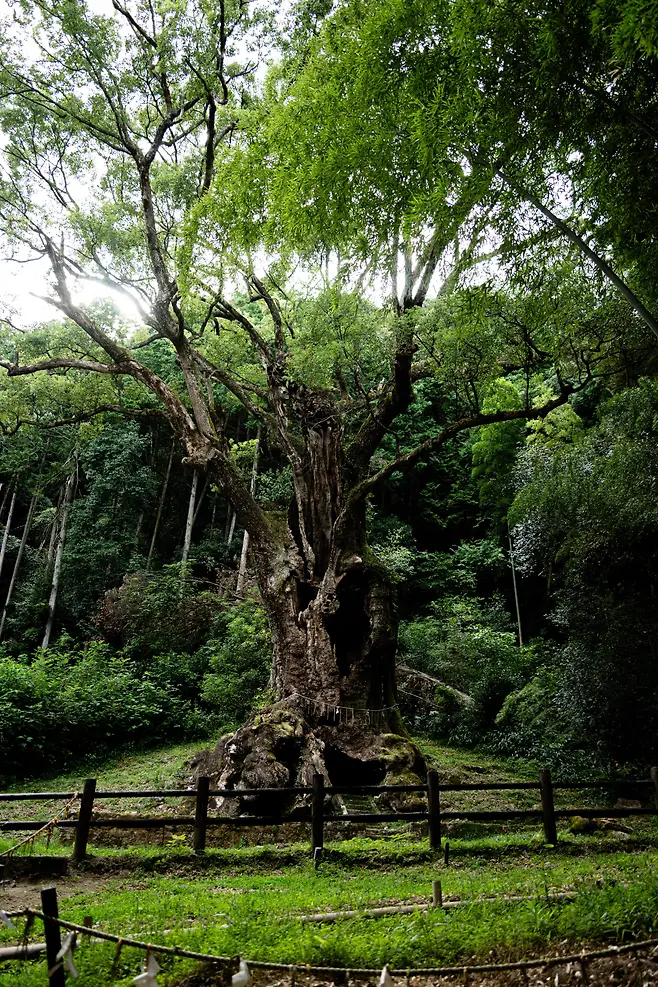 058aef76b58668ff20a8d3b706f11a3928cf03a5750dd1e63e15