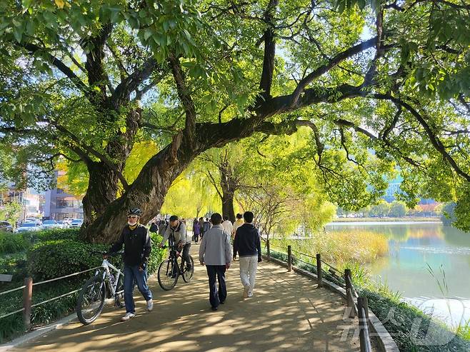 3일 오후 대구 대표 관광지인 수성못 일대에서 주말을 보내고 있는 시민들. 2024.11.3/뉴스1 ⓒ News1 이성덕 기자