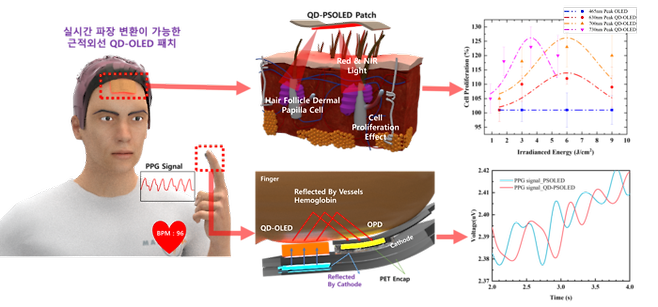 모발 증식 및 심박수 측정용 고유연 QD-OLED 패치 플랫폼
