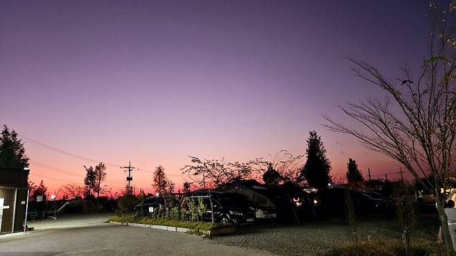 20241102_180755.jpg 캠핑 2일차) 저녁은 소고기와 자연산 대하 그리고 무늬오징어!!!!