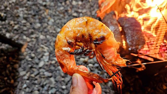 20241102_183432.jpg 캠핑 2일차) 저녁은 소고기와 자연산 대하 그리고 무늬오징어!!!!