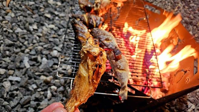 20241102_192557.jpg 캠핑 2일차) 저녁은 소고기와 자연산 대하 그리고 무늬오징어!!!!