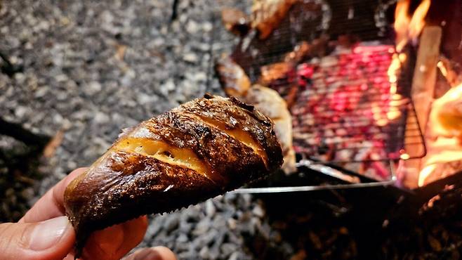 20241102_193753.jpg 캠핑 2일차) 저녁은 소고기와 자연산 대하 그리고 무늬오징어!!!!