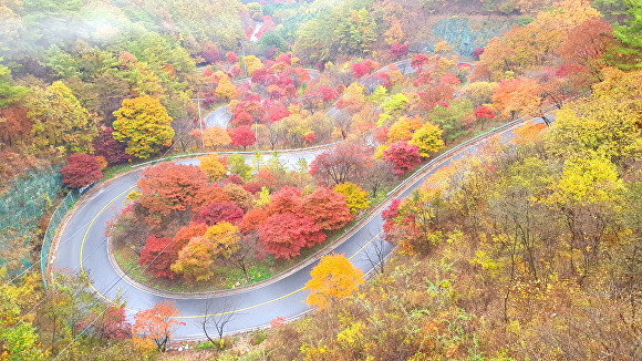 드론 촬영한 단양 보발재 전경. 형형색색 단풍이 만개해 아름다운 가을 풍경을 선사하고 있다. [사진=단양군]