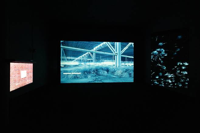 백남준아트센터에 전시중인 최찬숙의 ‘더 텀블’ 전시 전경. 백남준아트센터 제공