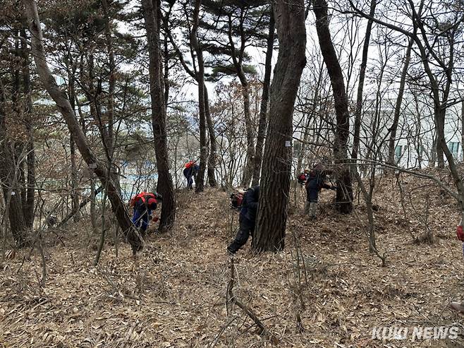 소나무재선충병 예방나무주사 시행 모습. 충남도