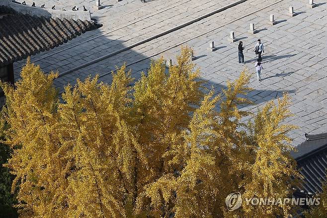 가을의 따스함 (서울=연합뉴스) 임화영 기자 = 포근한 가을 날씨를 보인 3일 오후 서울 중구 덕수궁 일대가 단풍으로 물들어있다. 2024.11.3 hwayoung7@yna.co.kr