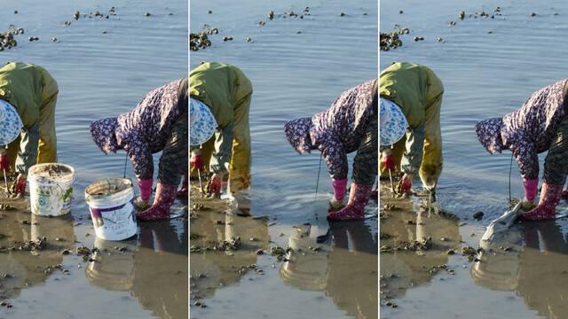 왼쪽은 갯벌 사진 원본. 중간은 애플 ‘클린업’으로, 오른쪽은 갤럭시 ‘생성형 편집’으로 통 2개를 없앤 모습. 클립아트코리아