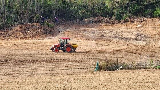 성심당이 대전 유성구 교촌동 일대에 조성 중인 밀밭 전경. [사진 대전시]