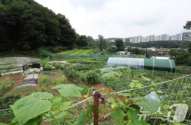 정부가 8일 부동산 관계장관회의를 열고 '주거안정을 위한 주택공급 확대방안'을 발표했다. 정부는 수도권 내 그린벨트(개발재한구역)를 해제해 올해와 내년 각각 5만 가구, 3만 가구 등 총 8만가구 규모의 신규 택지를 발굴할 예정이다. 세부 대상지는 오는 11월 발표 예정으로, 당장 오는 13일부터 서울 그린벨트 전역과 인접 수도권 지역 모두 '토지거래허가구역'으로 묶인다. 사진은 이날 그린벨트 해제지로 유력 거론되는 서울 서초구 내곡동 일대 개발제한구역에 걸린 그린벨트 해제 촉구 현수막. 2024.8.8/뉴스1 ⓒ News1 김진환 기자