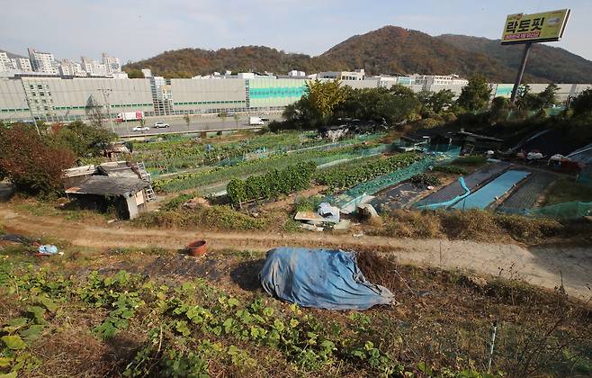 정부가 서울 서초구 일대 개발제한구역(그린벨트)를 해제해 2만가구 규모의 미니신도시를 조성한다. 국토교통부는 5일 정부서울청사에서 브리핑을 갖고 △서울 서초구 서리풀지구(2만가구) △경기 고양대곡 역세권(9000가구) △경기 의왕 오전왕곡(1만4000가구) △경기 의정부 용현(7000가구) 등 신규 택지 후보 4곳을 발표했다. 사진은 5일 신규 택지지구로 발표한 서울 서초구 원지동 모습. /뉴스1