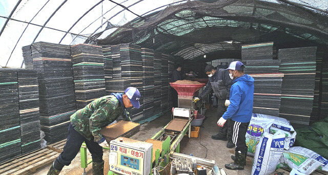 지난 4월 경남 함양군에 배정된 베트남 출신 계절근로자들이 작업반장의 지시에 따라서 벼 모판 만들기 작업을 하고 있다. 이들은 함양군이 전국에서 처음으로 만든 계절근로자용 기숙사에서 지내고 있다. 최상원 기자