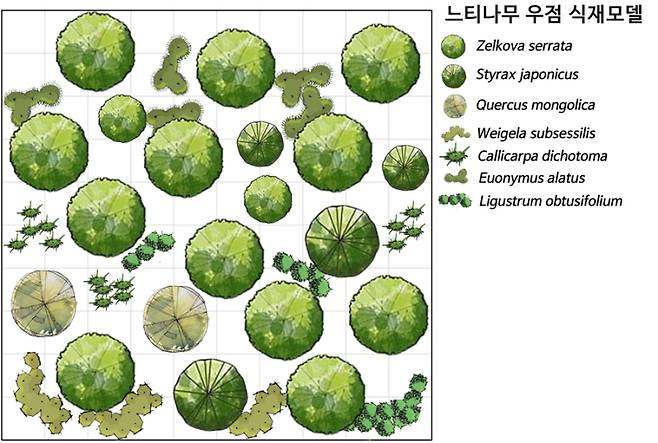 한국수목원정원관리원이 개발한 느티나무 중심 탄소흡수 다층식재 모델. 한국수목원정원관리원