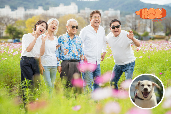 드라마 ‘개소리’는 이순재, 김용건, 임채무, 예수정, 송옥숙 등 각각의 연기 경력이 50여 년에 달하는 원로배우들이 모여 노년의 이야기를 유쾌하게 그려냈다. 강아지 소피(작은 원)와 대화할 수 있게 된 이순재가 소피를 통해 주변 사람들과 소통하는 법을 배워가는 과정이 시청자에게 훈훈함을 안겨줬다. KBS 제공