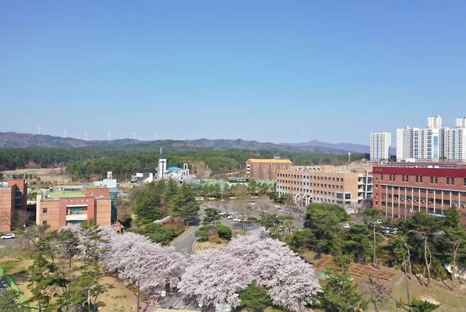 선린대학교 전경./사진제공=선린대