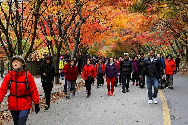 [정읍=뉴시스] 단풍 절정기 내장산을 찾은 관광객들.  *재판매 및 DB 금지