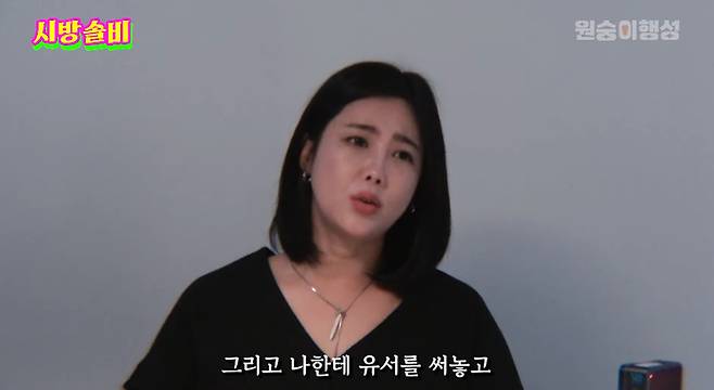 유튜브 ‘시방솔비’