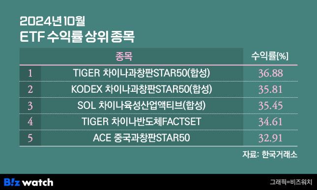 2024년 10월 ETF 수익률 상위 종목/그래픽=비즈워치