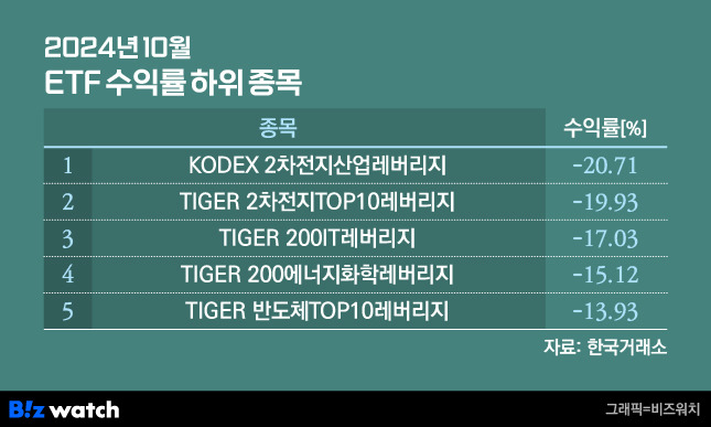 2024년 10월 ETF 수익률 하위 종목/그래픽=비즈워치