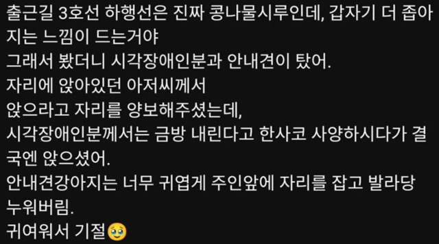 지난 9월 출근길 만원 지하철에서 누워 있는 시각장애인 안내견을 봤다는 한 누리꾼이 온라인에 게재한 목격담 내용. 온라인커뮤니티 캡처