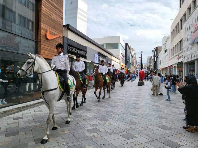 제주자치경찰기마대가 제주시 칠성로 도심에서 기마 순찰을 벌이고 있다. 제주도 제공