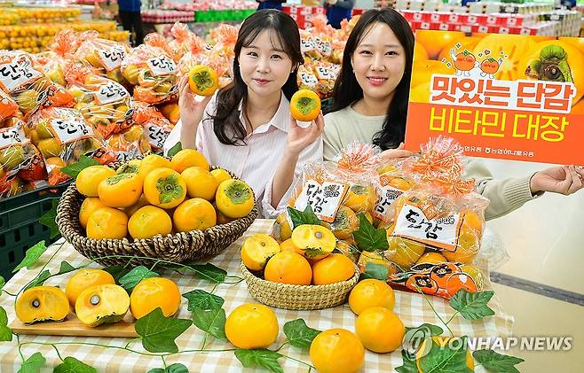 '제철 단감 드시고 건강 챙기세요' (서울=연합뉴스) 30일 서울 서초구 하나로마트 양재점에서 단감데이(11월4일)를 앞두고 모델들이 '제철 단감'을 선보이고 있다. 2024.10.30 [농협유통 제공. 재판매 및 DB 금지] photo@yna.co.kr