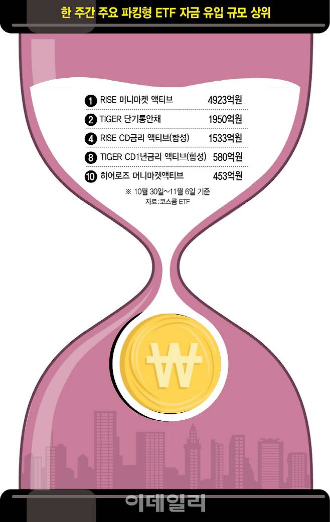 [이데일리 이미나 기자]