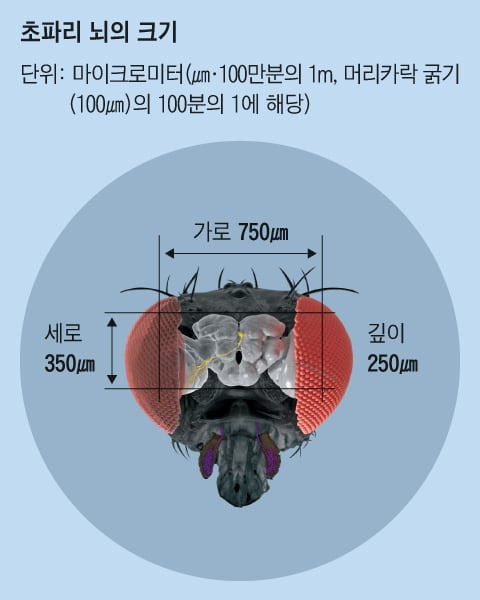 그래픽=김현국