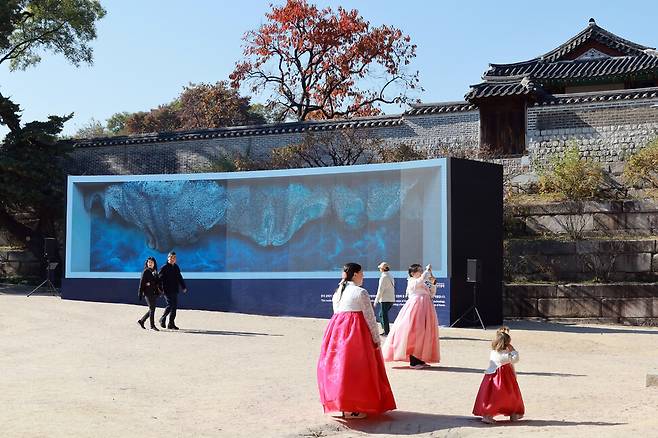 국가유산청과 국가유산진흥원이 7일 오전 서울 종로구 창경궁 일대에서 ‘2024년 국가유산 디지털 콘텐츠 체험 축제: 디지털 풍류’를 개최했다. 시민들이 함인정 앞에서 미디어 아트 ‘자연으로부터\'를 감상하고 있다. 정용일 선임기자