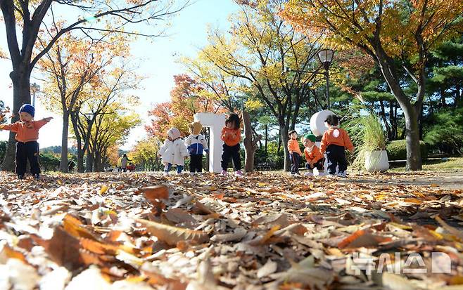 [울산=뉴시스] 배병수 기자 = 기온이 떨어지며 쌀쌀한 날씨를 보인 6일 오전 울산 남구 문수체육공원을 찾은 어린이들이 낙엽을 밟으며 가을을 즐기고 있다. 2024.11.06.bbs@newsis.com.