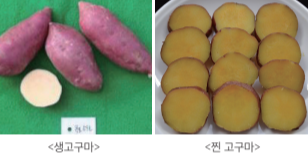 대유미