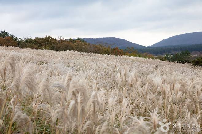 / 한국관광공사