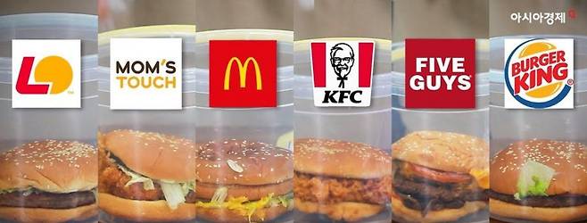 햄버거 썩히기 실험군