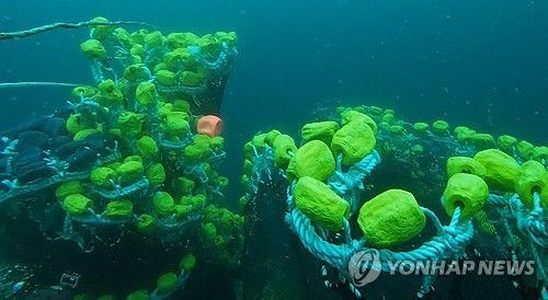 해경이 수중에 산재한 사고 어선 그물에서 수색을 벌이고 있다.ⓒ연합뉴스