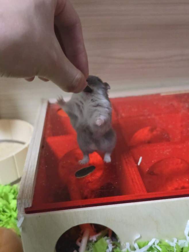 3fb8c32fffd711ab6fb8d38a4786766d8e7f5f57489303c9bdfb54b770dc6d8bfa73da2e83fad196a1d36c906b4a